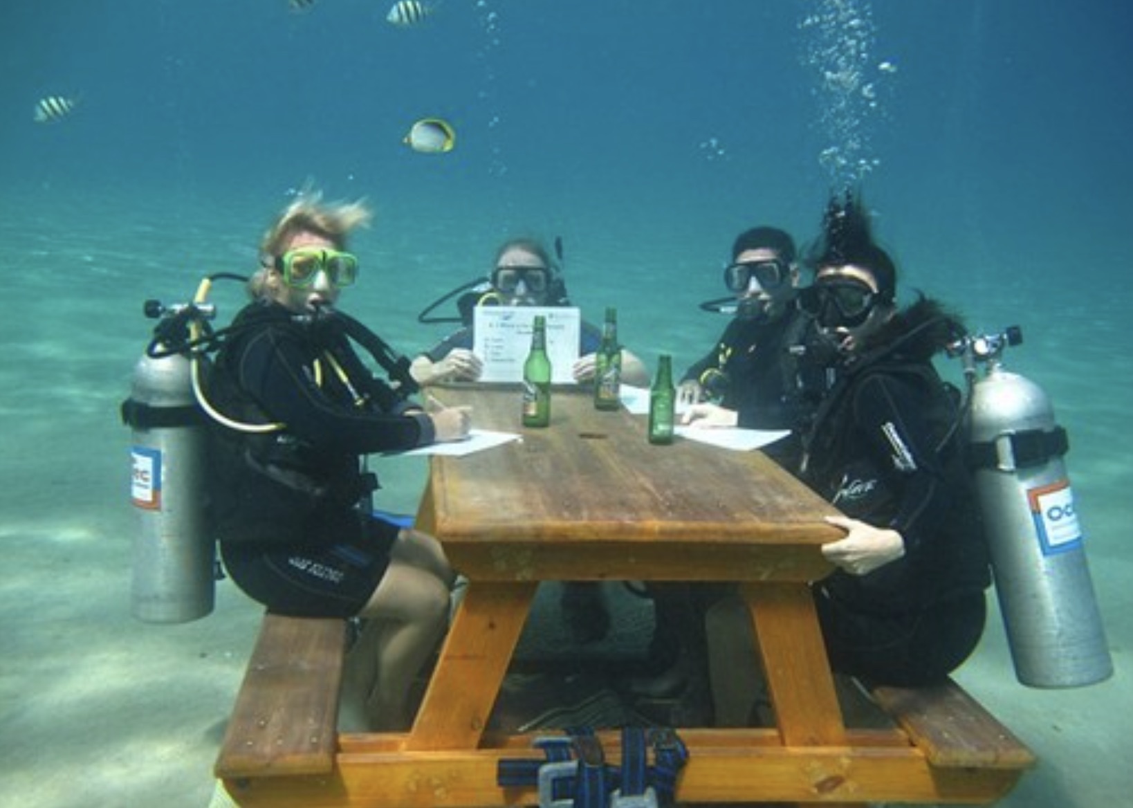 A relaxing lunch break between research